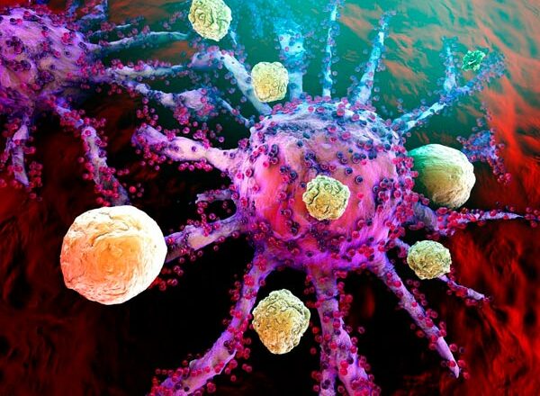 Krebs-T-Zellen