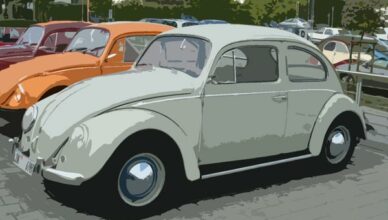 VW Kaefer