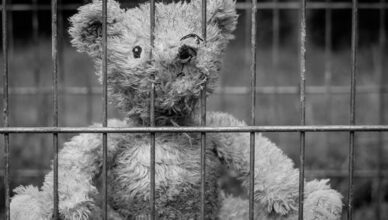 Teddybaer-hinter-Gitter