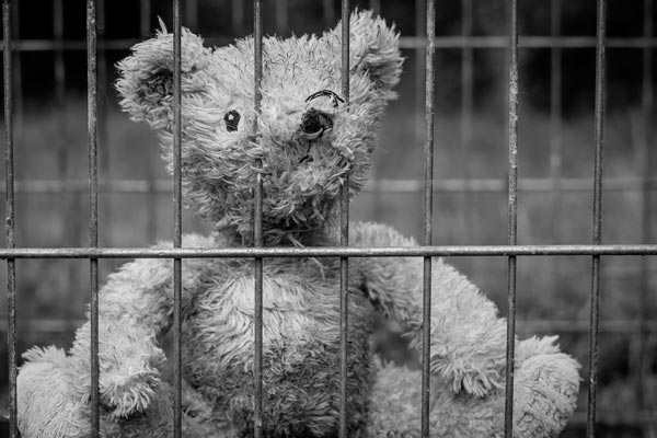 Teddybaer-hinter-Gitter
