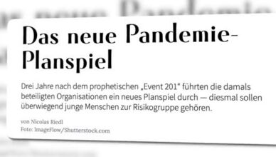 Pandemie Planspiel